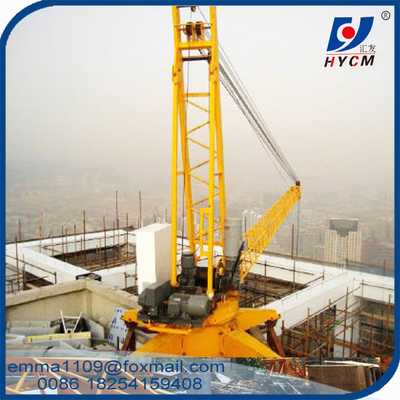 China 15m Working Boom 3tons Lifting Derrick Crane Dismantle Inner Tower Crane supplier