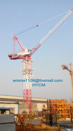 China D120 8T Luffing Crane Tower VFD or Inverter Control Split Mast supplier