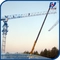 Big Model PT7025 Headless Tower Crane 12t max. Load 50m Working Height supplier