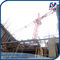 QTZ25(3508) Small Inner Climbing Tower Crane Building 80m in India supplier