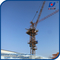 3 tons Mini Luffting Tower Crane 25m Boom Jib 2.0t Tip Load  Block Mast Section supplier