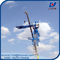 High Quality PT6013 8T Flattop Tower Cranes with Load Moment Indicator or Block box supplier