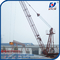 6t Load Capacity Derrick Luffing Tower Crane Without counter weight and Mast Section supplier
