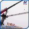 Mini Luffing Crane D2520 6T Load Capacity with Remote Control supplier