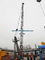 Small Derrick Crane 4 Ton Capacity at 100m Height 30m Luffing Jib Type supplier