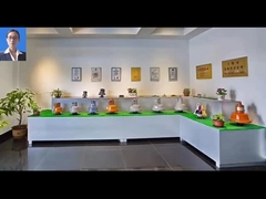 Construction Building Hoist Safety Device Anti Falling Devices