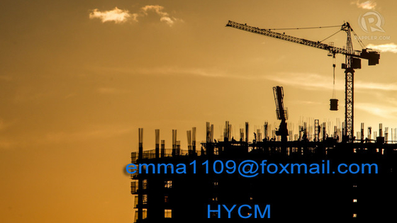 China Special Cost Tower Crane 5t Load Capacity 50m Boom 1.3t Tip Load 30m Working Height supplier