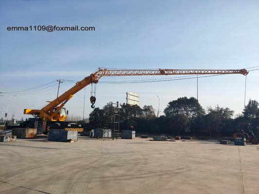 China 1000kg Small Self Rise Intelegent Tower Crane 20m Jib Length Load 0.9t supplier