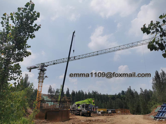 China Hot Sale PT5020 50M Working Jib Crane Tower Normally Relay Controllers System supplier