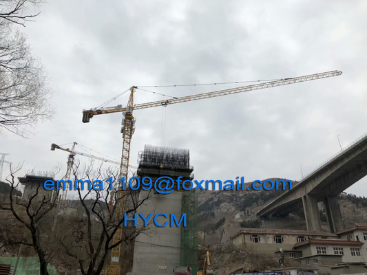 China Hot 8tons TC6013 Hammer Head Tower Crane 60m Jib L46A Mast use Less Containers In Africa supplier