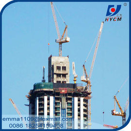 China Popular D2520 Mini Kind of Luffing Jib Tower Cranes Quotation supplier