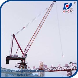 China D5020 Jib Tower Crane Luffing Type 50m Boom 2.0t End Load Specification supplier