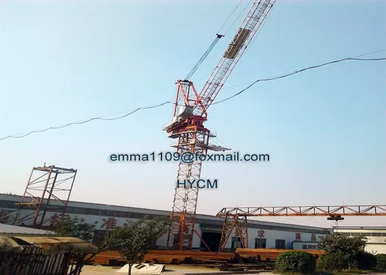 China D5030 12T 50m Boom Luffing Tower Crane 3m Mast 50m HUH Height supplier