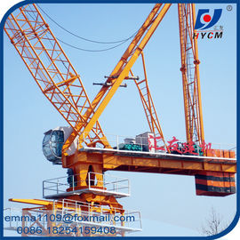 China 16t Building Luffing Tower Crane D6029 Model 60M Large Jib 2.9t End Load supplier