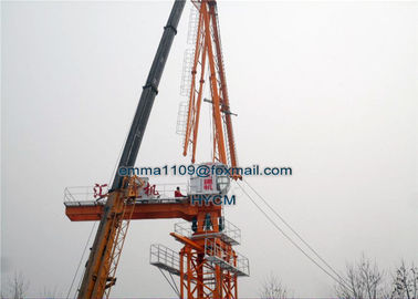 China New Model D80 4015 Jib Luffing Tower Crane 6tons Load 40m Boom 1.2*3m Mast Section supplier