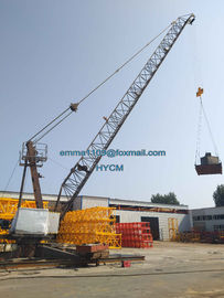 China QD3023 Derrick Crane 99ft Luffing Boom 8tons Load Export to Cambodia supplier
