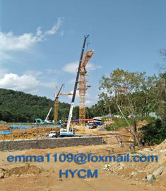 China 6tons Load TC6012 Hammerhead Tower Crane 60mts Jib For Resale Purpose supplier