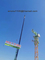 PT5020 50M Jib 8t Load Tower Crane 40m Free Lift Height ISO CE EAC Certification supplier