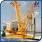 3tons Mini Luffing Derrick Crane 15m Luffing Jib for 150m Height Buildings supplier