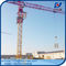 10ton Top Tower Crane PT6518 65m Jib With Potain Mast Section 3m supplier