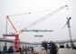 D5020 Jib Tower Crane Luffing Type 50m Boom 2.0t End Load Specification supplier