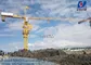 The Tower Crane TC7030 QTZ 250 Jib Kren 70m 12ton Construction supplier