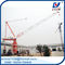 D5520 Telescopic Hydraulic Tower Crane 18T Luffing Building Materials supplier