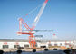 8 Tons D120 45M Boom Luffing Tower Cranes Construction Building Cranes supplier