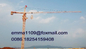 TC5013 Tower Crane With 100m Height and 1.3 ton at the Farest Point of the Arm supplier