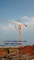 TC5013 Tower Crane With 100m Height and 1.3 ton at the Farest Point of the Arm supplier