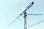 10t P160-6020 Topless Tower Crane 60m Boom 2.0t End Load without Head supplier