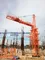 QTZ6012 Tower Crane 60m Working Arm Test In Building Construction Site supplier