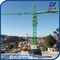 qtz 125 Tower Crane Cost For the High Rise Building 65M Wide Working Jib supplier