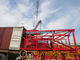 8tonnes 165ft Luffing Jib Tower Crane 50m Working Arm Full VFD Control supplier