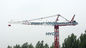QT10 9M Boom Inner Climbing Tower Crane 700kg Capacity Remote Control supplier