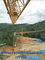 Hammerhead Tower Crane Lifting Capacity10 Tons Height 50 Meters Jib 60 Meters supplier