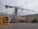 New Topless PT6013 HYCM Huiyou Tower Crane Green Eco-friendly colors supplier