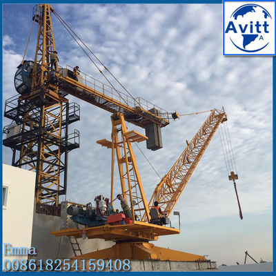 6t Load Capacity Derrick Luffing Tower Crane Without counter weight and Mast Section